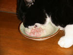 IMG_5712.JPG