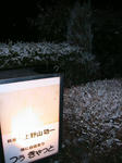 IMG_5750.JPG