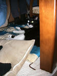 IMG_5788.JPG