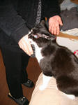 IMG_5795.JPG