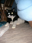 IMG_5830.JPG