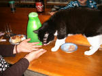 IMG_5842.JPG