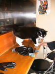 IMG_5875.JPG