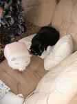 IMG_5887.JPG