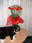 IMG_5893.JPG
