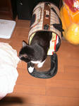 IMG_5959.JPG