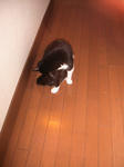 IMG_5980.JPG