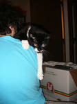 IMG_6077.JPG