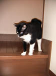IMG_6167.JPG