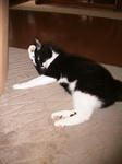 IMG_6177.JPG