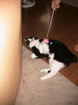 IMG_6186.JPG