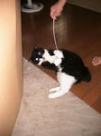 IMG_6187.JPG