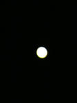 IMG_6213.JPG