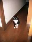 IMG_6225.JPG