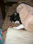 IMG_6231.JPG