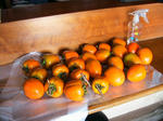 IMG_6312.JPG