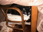 IMG_6323.JPG