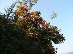 IMG_6324.JPG