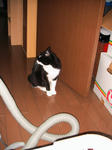 IMG_6344.JPG