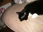 IMG_6358.JPG