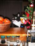IMG_6387.JPG