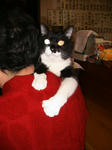 IMG_6422.JPG