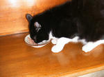 IMG_6465.JPG