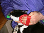 IMG_6485.JPG