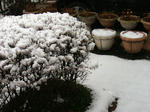 IMG_6550.JPG