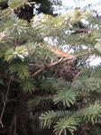 IMG_6568.JPG