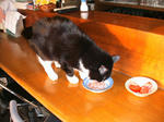IMG_6590.JPG