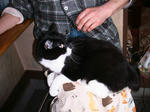IMG_6633.JPG