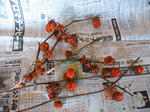 IMG_6639.JPG