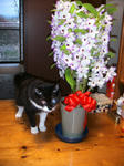IMG_6655.JPG