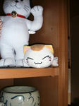 IMG_6665.JPG