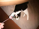 IMG_6696.JPG