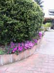 IMG_6722.JPG