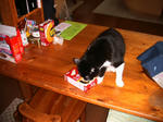 IMG_6731.JPG