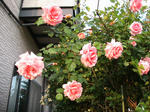 IMG_6747.JPG