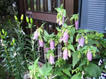 IMG_6755.JPG
