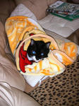 IMG_6759.JPG