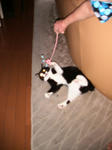 IMG_6781.JPG