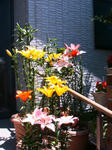 IMG_6797.JPG
