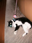 IMG_6803.JPG