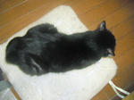 CIMG0177.JPG