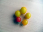 CIMG0250.JPG