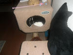 CIMG0355.JPG