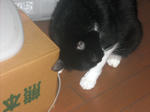 CIMG0357.JPG