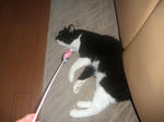 CIMG0364.JPG