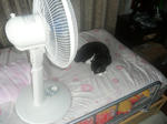 CIMG0374.JPG